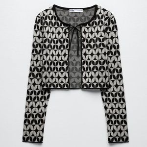 Zara Geometric Knit Jacquard Sweater